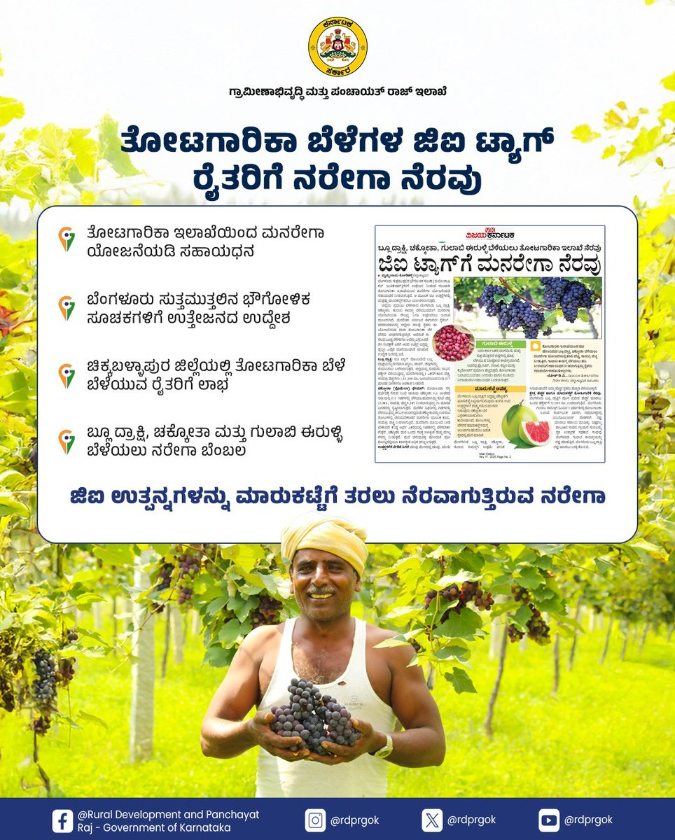 rdprgok's tweet image. ಚಿಕ್ಕಬಳ್ಳಾಪುರ ಜಿಲ್ಲೆಯಲ್ಲಿ ತೋಟಗಾರಿಕಾ ಇಲಾಖೆಯು ಉದ್ಯೋಗ ಖಾತ್ರಿ ಯೋಜನೆಯನ್ನು ಬಳಸಿಕೊಂಡು ಜಿಐ ಉತ್ಪನ್ನಗಳಿಗೆ ಉತ್ತೇಜನ ನೀಡುತ್ತಿದೆ. ರೈತರಿಗೆ ಕೂಲಿ ವೆಚ್ಚ, ಸಾಮಗ್ರಿ ವೆಚ್ಚದ ಜೊತೆ, ಮಾನವ ದಿನಗಳ ನೆರವನ್ನೂ ಒದಗಿಸುತ್ತಿದೆ.

#RDPR #ruraldevelopment 
@PriyankKharge @MgnregsK