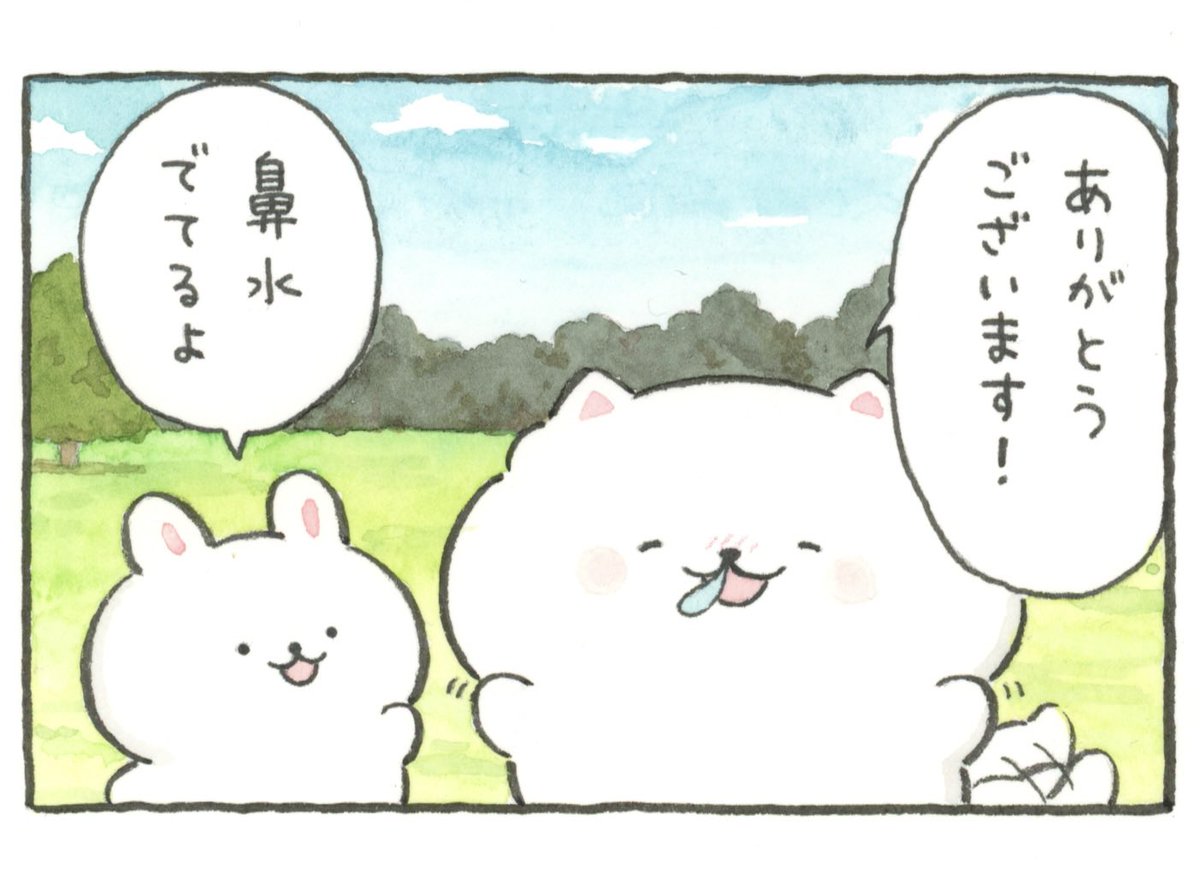 たぬちゃん (@tamuchanpon) / Posts / X