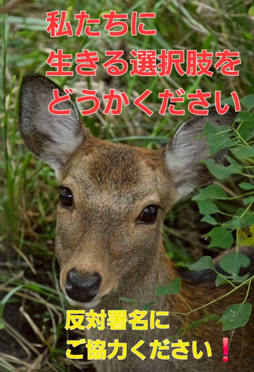 Izuuu (@Izuuu55GO) / Posts / X