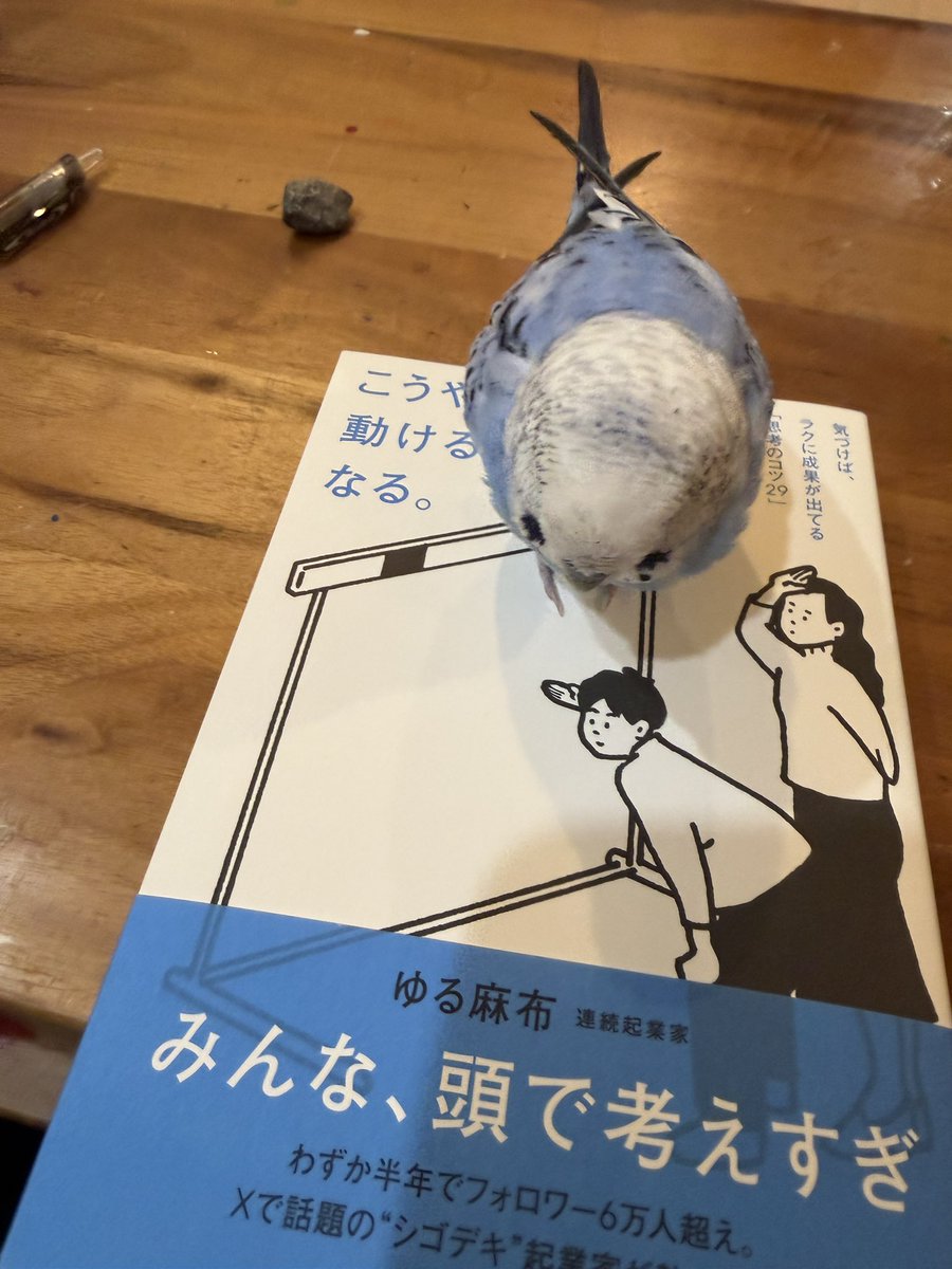 限定‼️西村麻里さんの招き猫(^-^) 西村麻里さんの招き猫(^-^) 限定‼️西村麻里さんの招き猫(^-^)