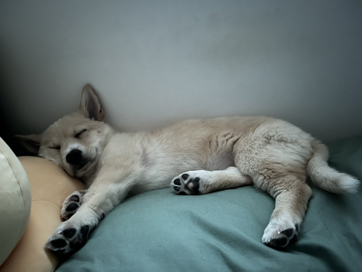 감자🥔 (@gamja_wang0103) on Twitter photo 