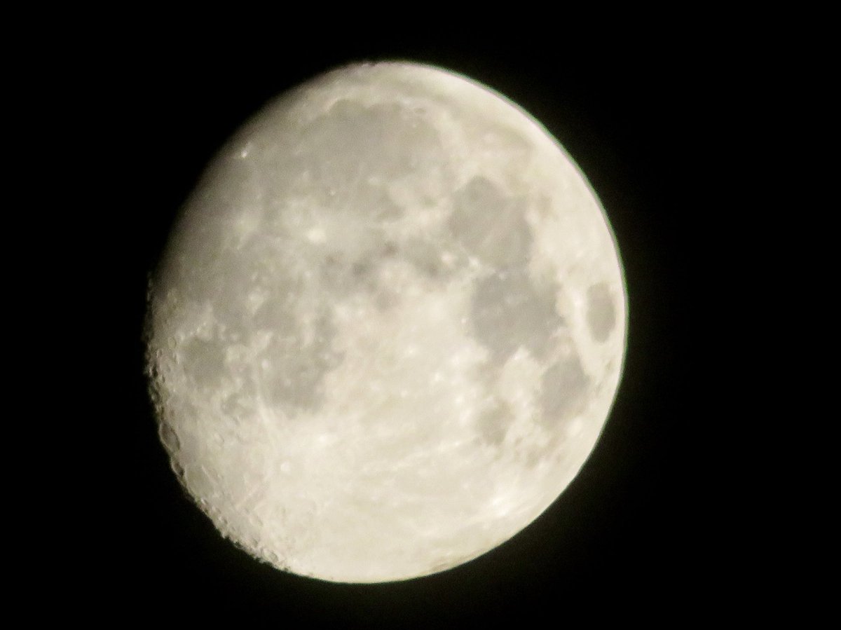 「今宵の月🌕」(ころころ🐼継承)

何気なく夜空に浮かんでいる月を見ていませんか？ところでその月まではどれくらいの距離があると思います？
正解は約38万km😳
38万kmといったら地球🌏の赤道の周りを10周できる距離です
月のスケールの大きさに脱帽🎩です💦

2025.12.02PM9:15埼玉県某所にて撮影
