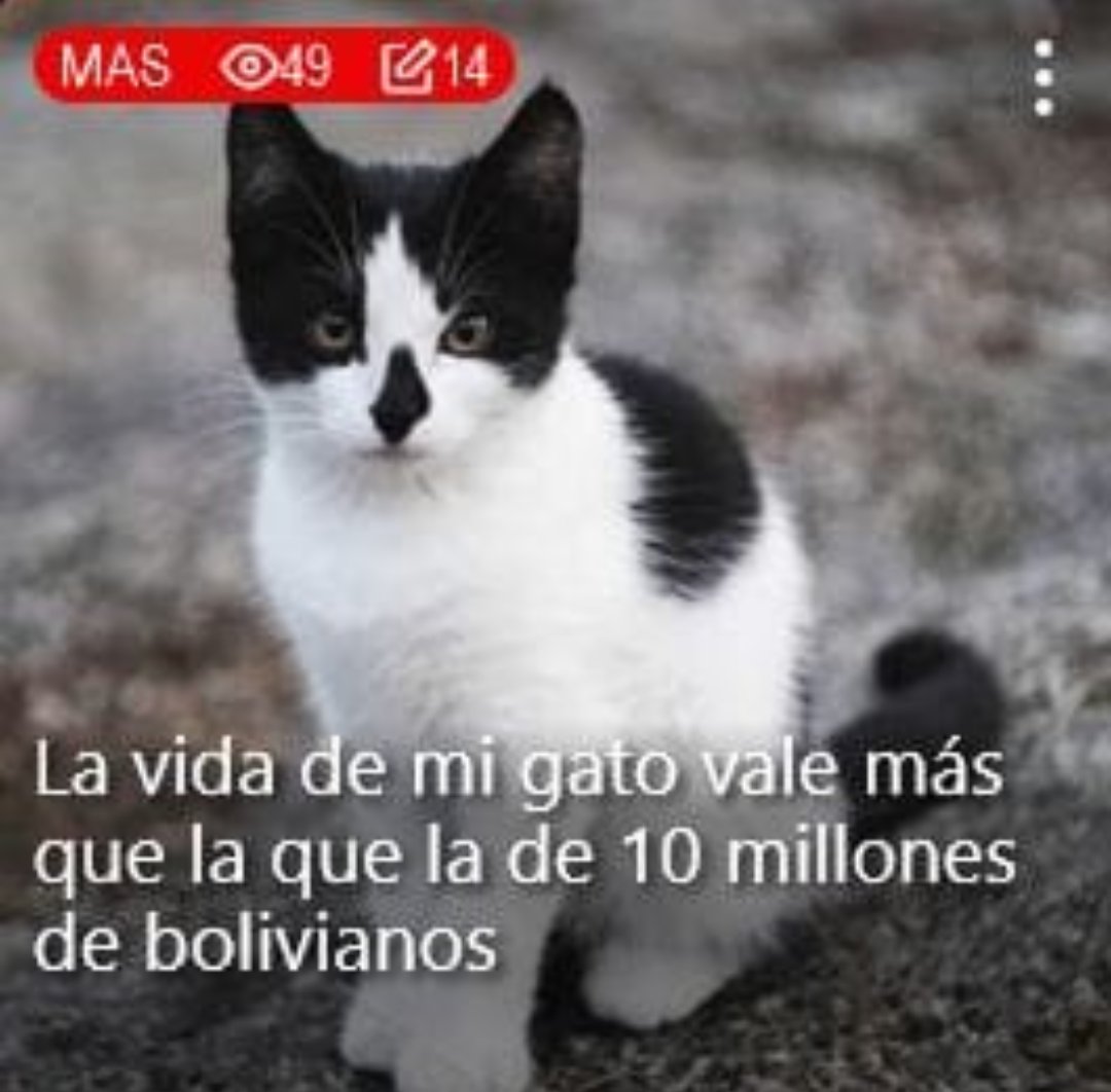 JJ🇦🇷🇮🇱🏳️‍⚧️ tweet media