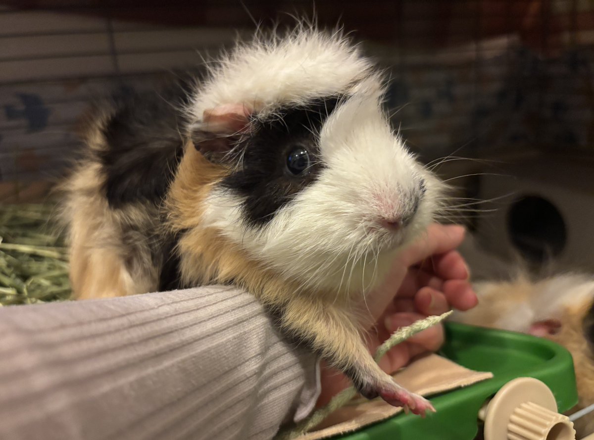 みるく＆ちょこ tweet media