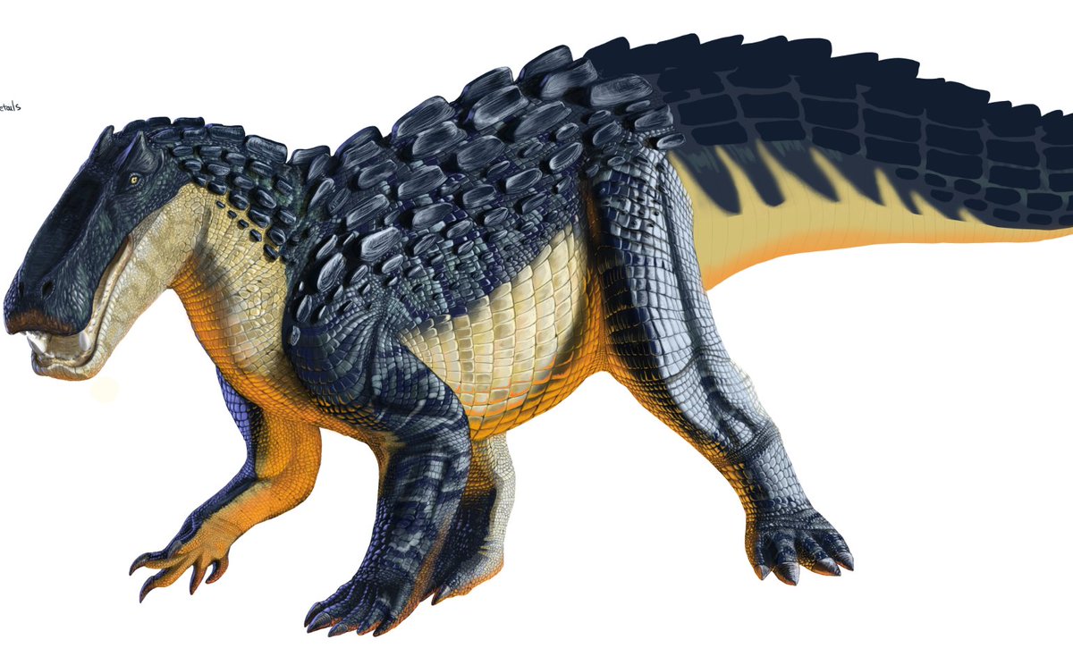 Bull.Falcon (@FalconBull) / Posts / X