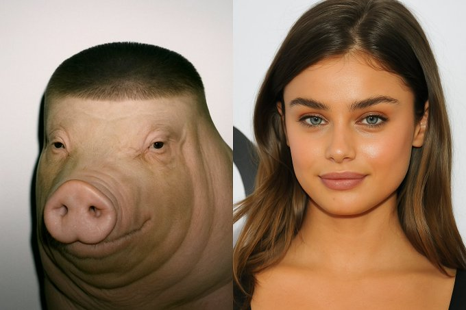 soapweb3's tweet image. Average couple in Dubai 😂