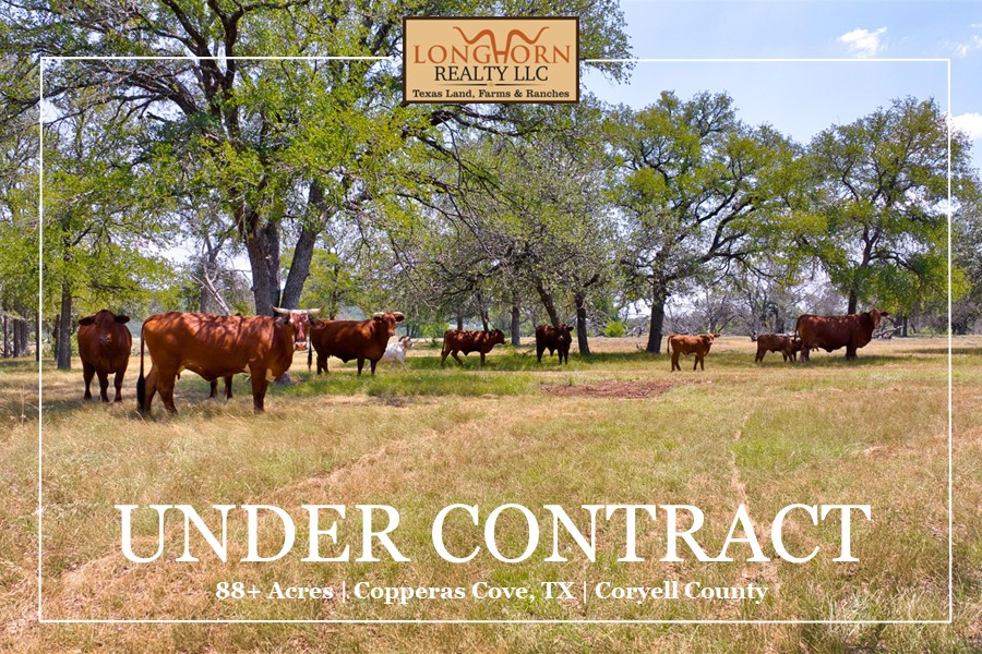 RanchSalesTexas's tweet photo. UNDER CONTRACT!! - 88+ Acres Copperas Cove TX, Coryell County 
Seller Rep
Don Honeycutt | 512-289-2121 | don@longhornrealty.com
https://t.co/igg9cevZNN
.
#CopperasCoveTXRealEstate #CopperasCoveTX #LonghornRealty https://t.co/31t8XJ8FI7