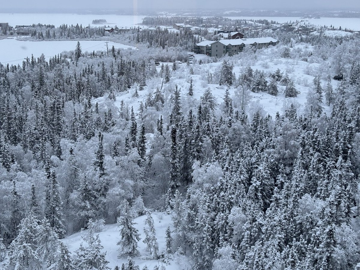 erinsterrr's tweet image. @BMPREND good morning from Yellowknife! (This was taken yesterday, it'll be dark til like 10AM lol) -25 right now!🥶