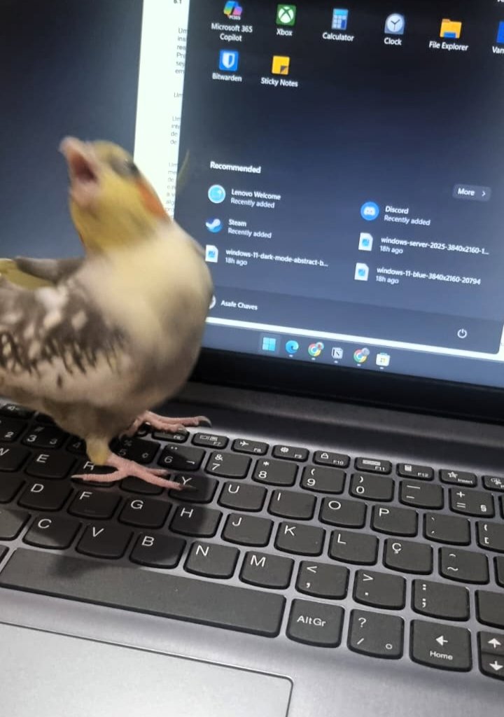 asafeec's tweet image. Pq que eles gostam do notebook?