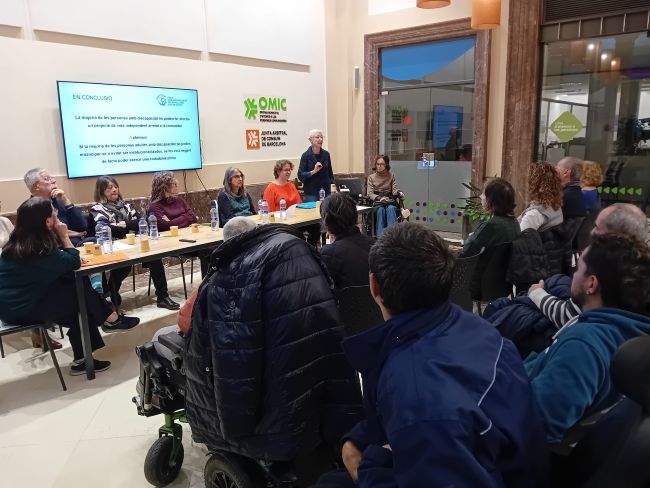 Diari de la DisCapacitat tweet media