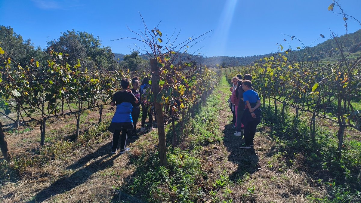 RipolletImpulsa's tweet photo. 🌟El projecte #Cueme de #Ripollet avança!

💼🌿L'alumnat de les 4 escoles participants ha creat i registrat les seves cooperatives i han gaudit d'una sortida a Can Calopa on han descobert de primera mà què és una cooperativa, com funciona i quins valors la defineixen. https://t.co/d5bir5fWRc