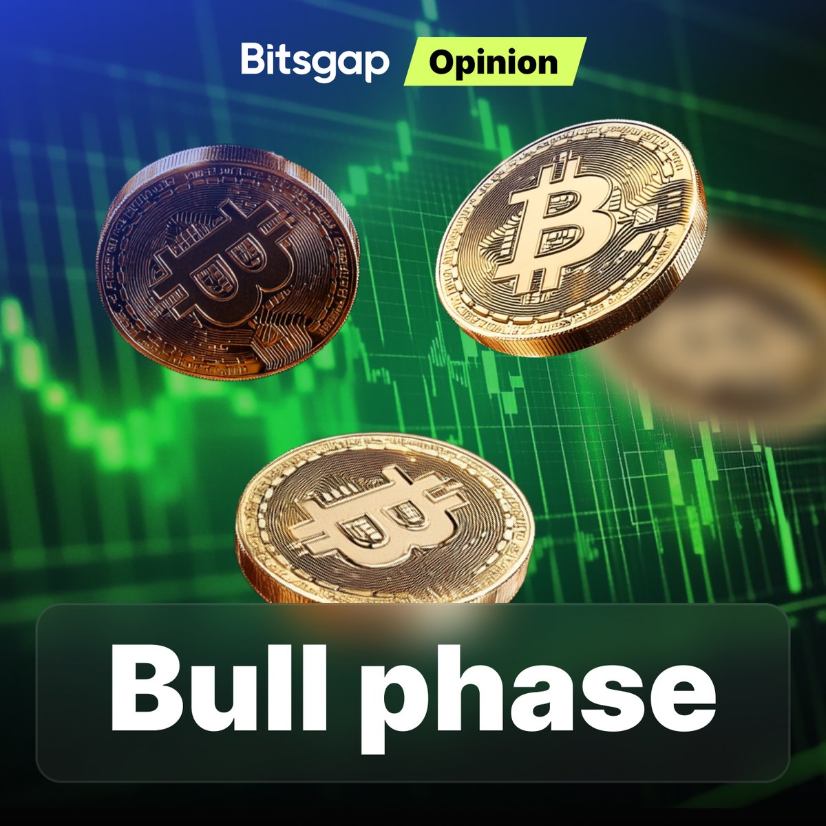 Bitsgap (@Bitsgap) / Highlights / X