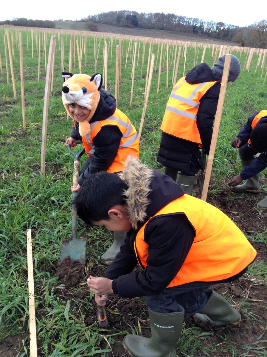 WilliamAustinJS's tweet photo. Year 4 had an amazing day at Marston Vale last week planting trees for a brand-new forest! After their hard work, they were treated to a delicious pizza feast.
Huge thanks to @LDNLutonAirport for organising such an inspiring, eco experience.
#climate #sustainability #futureforest https://t.co/ZaTl8cw8EM