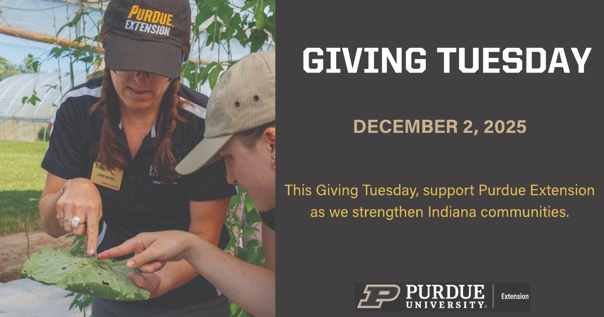 PurdueExtension's tweet image. #GivingTuesday is a chance to support the Purdue Extension programs that matter most to your community. Every donation stays local and strengthens the work we do with families, youth, agriculture and community groups across Indiana. Make your gift here: giving.purdue.edu/west-lafayette…