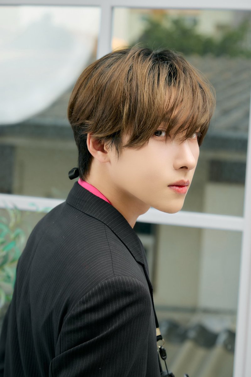 Noeul tweet media
