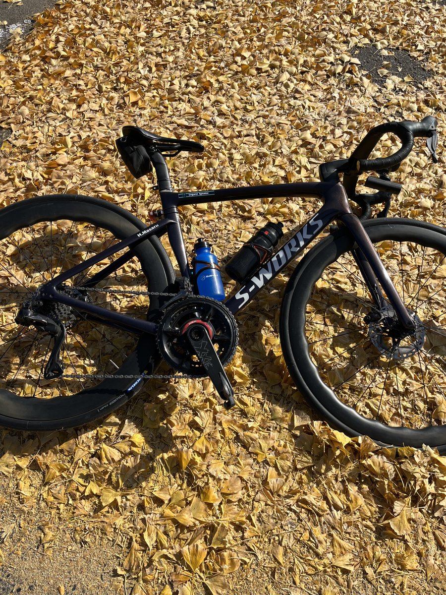 荒川のミミズがトラウマで
外乗り後は毎回フレーム拭き上げてたけど、
アルテブレーキの腐食の話を聞いて「やっててよかった」と思う今日この頃