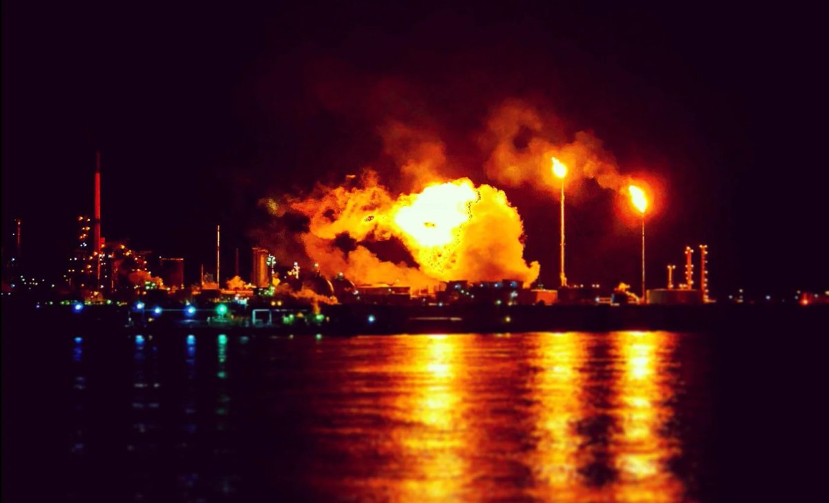 bradkelly's tweet image. haunted