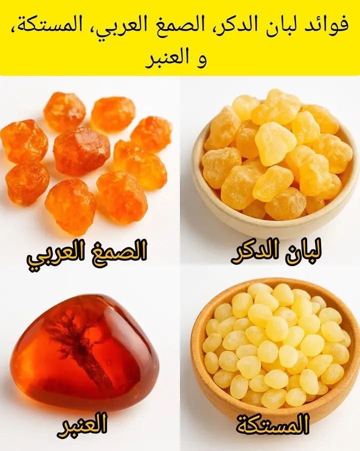فوائد لبان الدكر، الصمغ العربي، المستكة، و العنبر

💠 لبان الدكر:
يساعد في تنقية الجسم، ودعم التنفس، وتهدئة الالتهابات، وتعزيز صحة البشرة.

💠 الصمغ العربي:
يدعم الهضم، ويحسّن صحة الكلى، ويخفّض الامتصاص الزائد للسكر، ويفيد في تنظيف القولون.

💠 المستكة:
تقوّي المعدة، وتقلّل