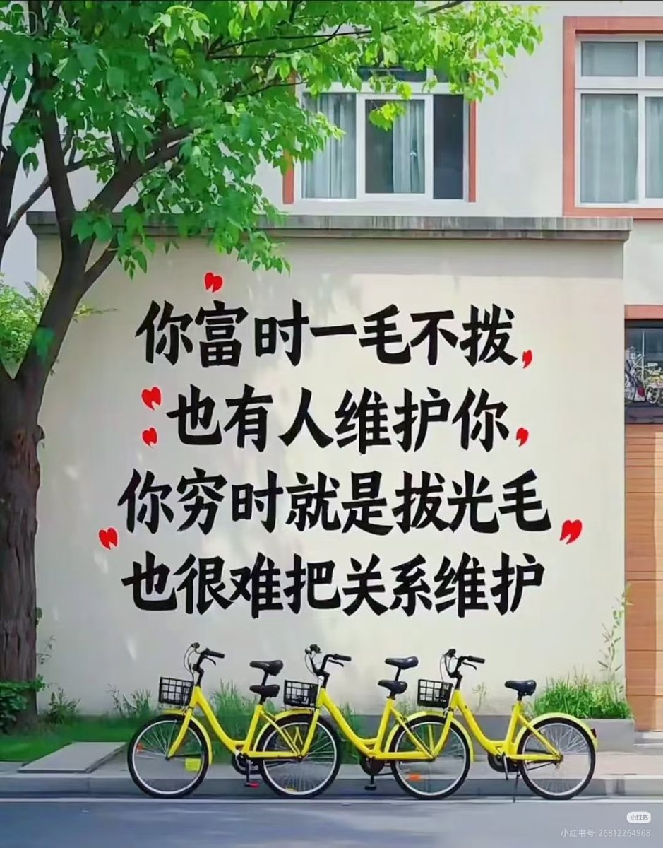 低调80后！(follow back💯💯💯) tweet media