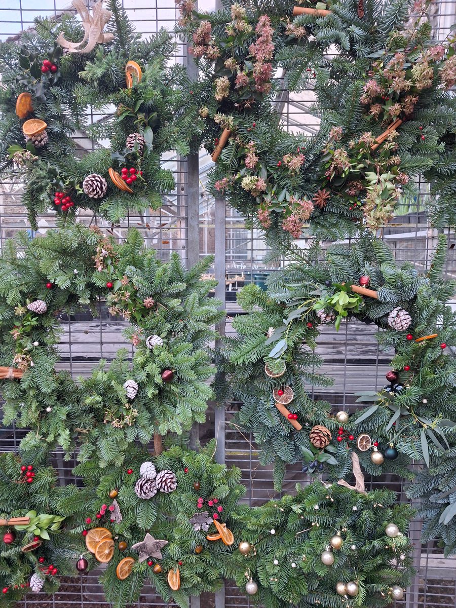 Harington tweet media