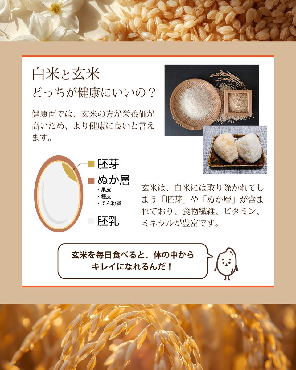 KAIZENBODY_bi's tweet photo. 毎日の食事で
肌の調子や体の疲れが
変わるって知っていましたか？
▼続きはこちら
https://t.co/R8iCzN0eng
＃玄米＃レシピ＃美容＃健康＃エステ＃サロン＃ダイエット https://t.co/BV4HAlsspa
