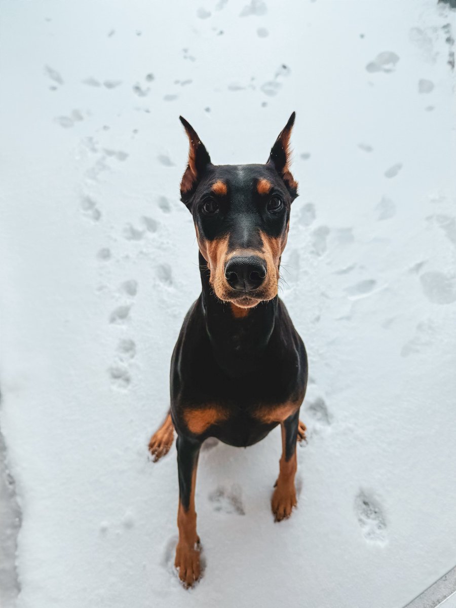 Can I get a GM? ❄️