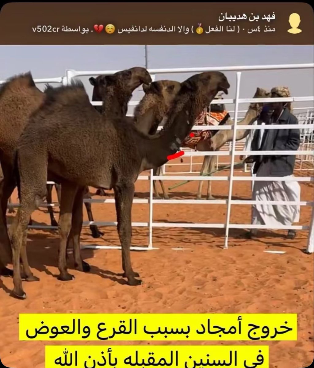 من أجمل الفرديات فردية ابن هديبان الشكرة ، أستبعدت بسبب القرع . 

إضاءة / 

كذلك فردية نشمي الظويفري ( السعودية ) هل تم أستبعادها قرع أيضاً ؟! من عنده علم ؟