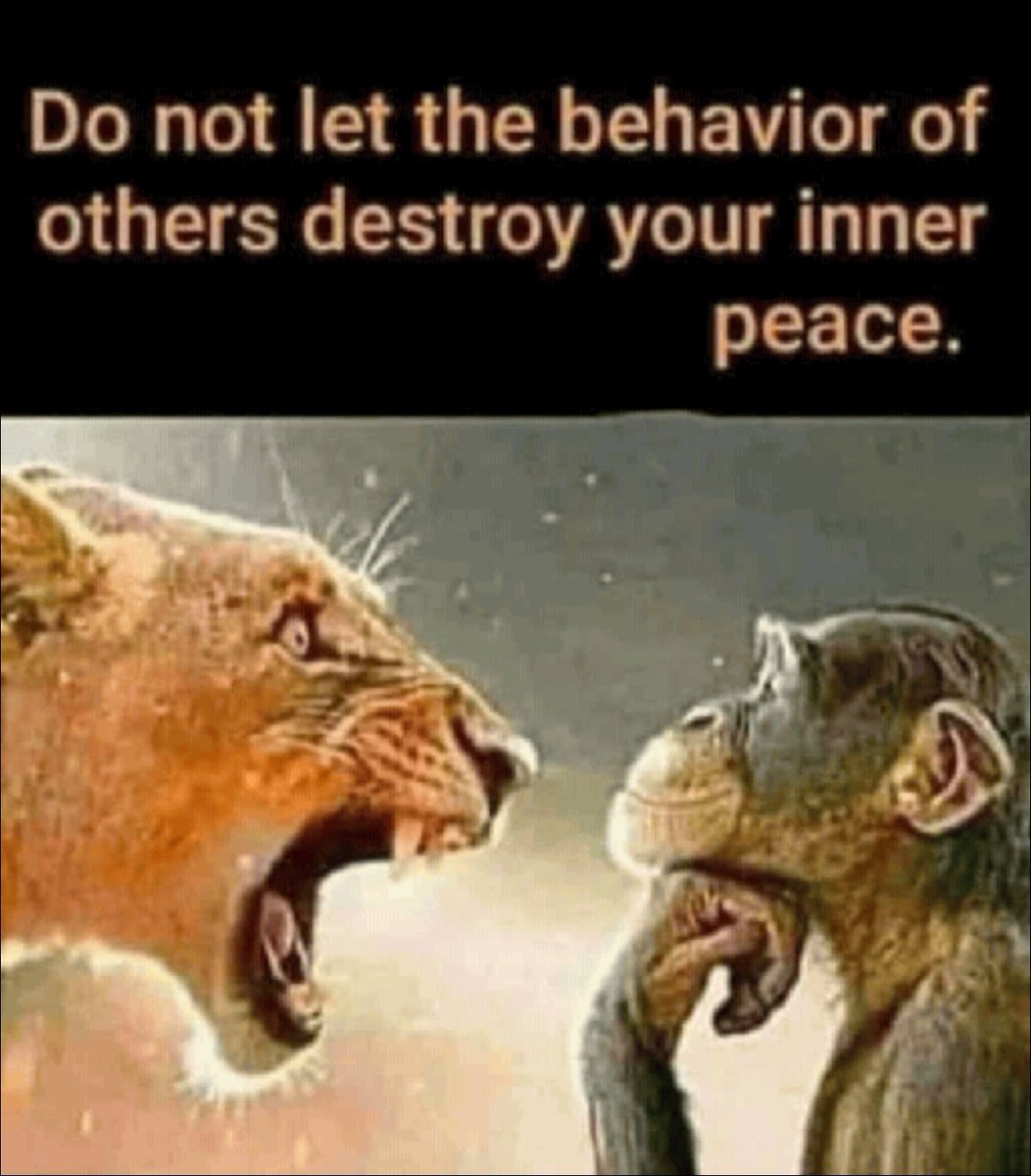 ArcheSV🐾 tweet media