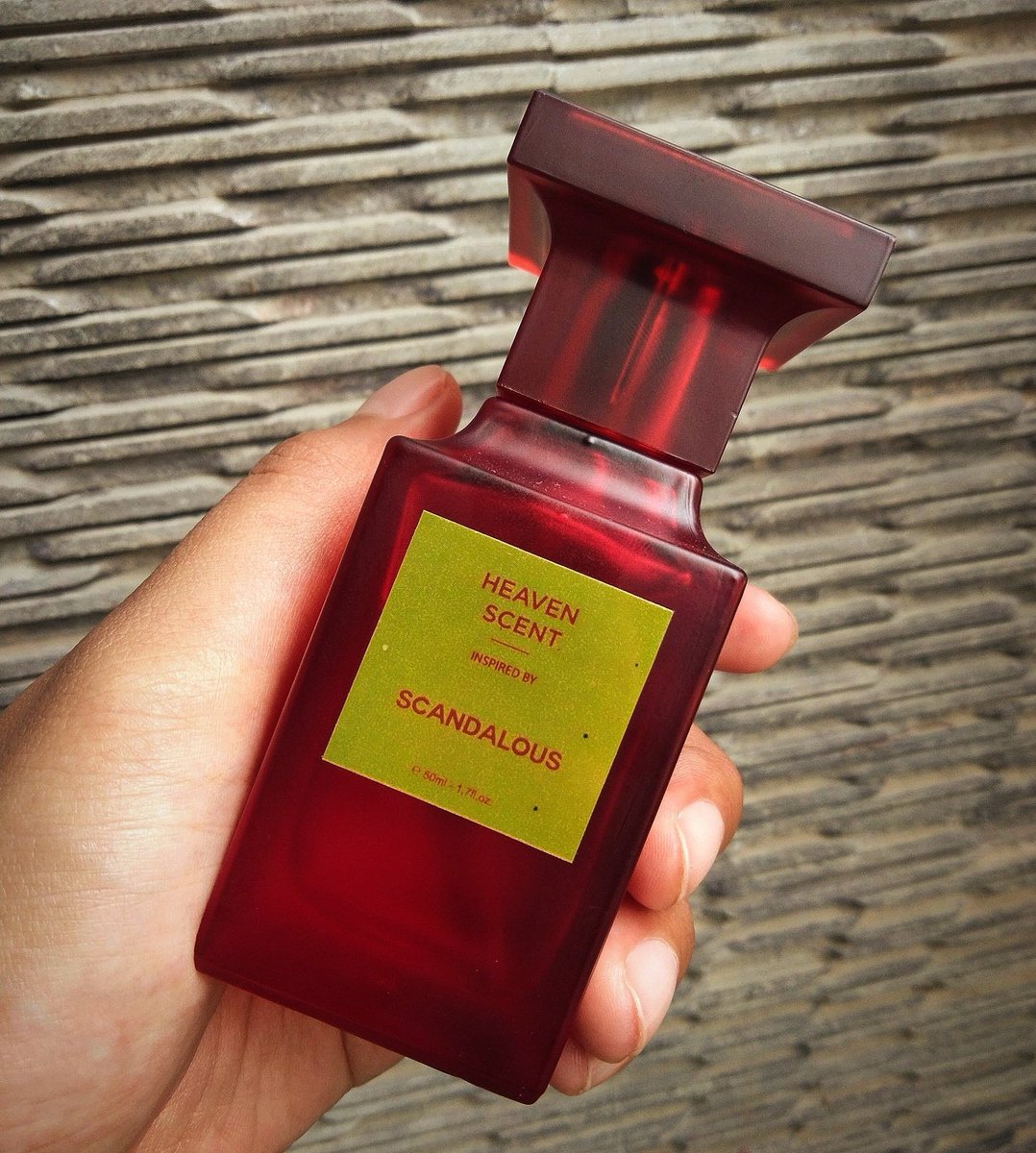 BEST PURCHASE EVER ✨