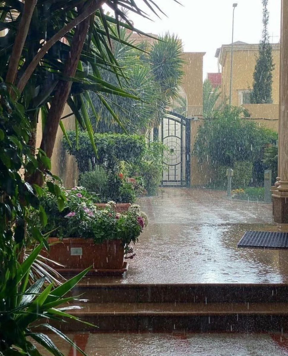 المنظر اللي ربنا ما يحرمنا منه