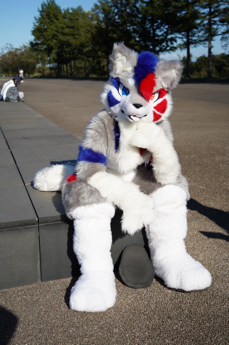 狼雅 (@concerto_wolf9) / Posts / X