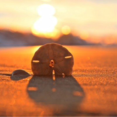 Sometimes the most powerful response is no response at all—just a breath, a beat, and a choice not to feed the fire….choose wisely