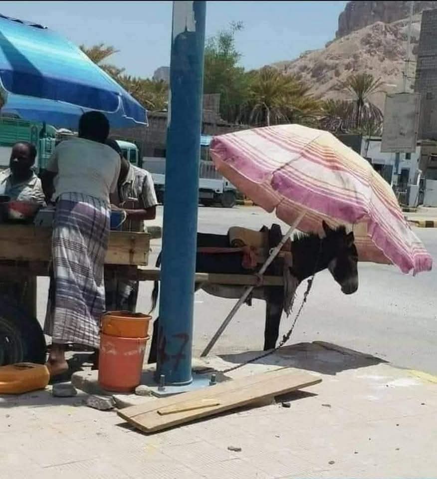 रसूलुल्लाह सल्लल्लाहु अलैहि वसल्लम ने फ़रमाया:

’’रहम करने वालों पर रहमान रहम करेगा, तुम ज़मीन वालों पर रहम करो, आसमान वाला तुम पर रहम करेगा।‘‘

(मुस्नद अल-हुमैदी: 591, सुनन अत-तिर्मिज़ी: 1924)