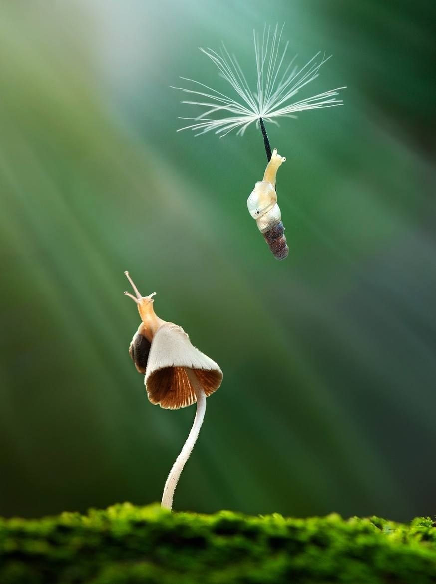 kavitha129's tweet photo. #RiddlesTime
I fly without wings!
I cry without eyes!
What am I?
(Picture is to attract; so don't get distracted in it.) https://t.co/NLSqCL93Hh