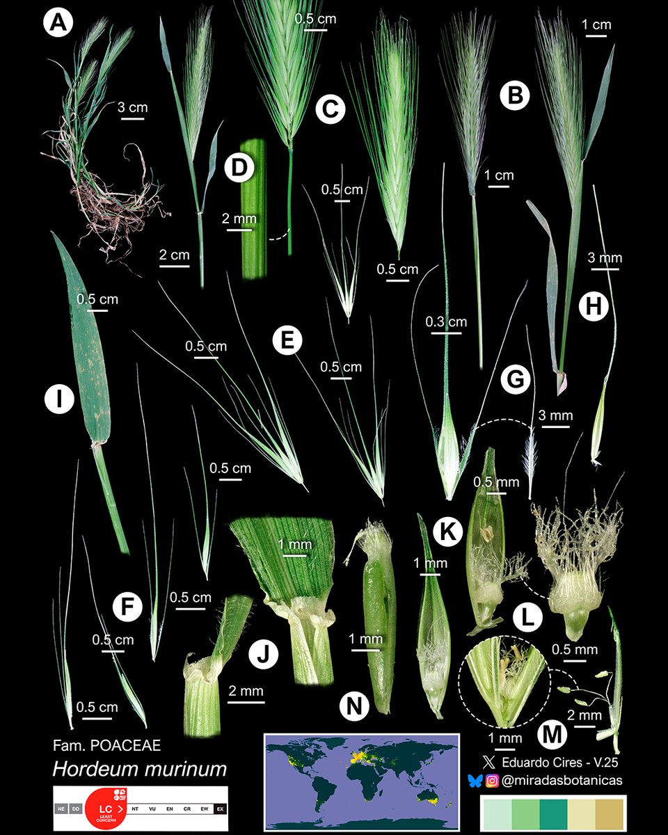 Eduardo Cires tweet media