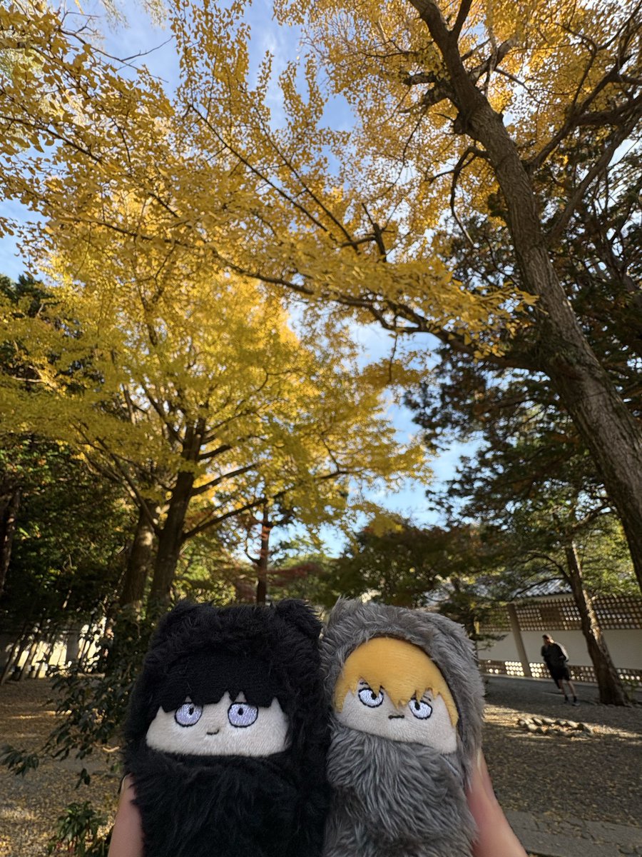 Anko_165's tweet photo. 最近は地味にぬい活してました(食欲100%)
写真上手になりたい… https://t.co/GtCfwgbbfv
