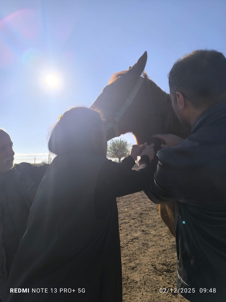 Haliliye İlçemize bağlı Konuklu Mahallemizde at kanı alımı veteriner hekimlerimiz tarafından devam ediyor. <a href="/TCTarim/">T.C. Tarım ve Orman Bakanlığı</a> <a href="/Sanliurfatarim/">Şanlıurfa İl Tarım ve Orman Müdürlüğü</a> <a href="/faruk_bozova/">Faruk Çetiner</a> <a href="/haliliyegovtr/">Haliliye Kaymakamlığı</a> <a href="/ibrahimyumakli/">İbrahim Yumaklı</a> #tarımsahadaa