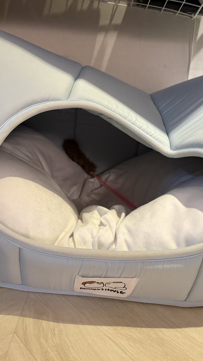 퇴근 후 ㅋㅋㅋ 
혼자 이리 물고 다니고 저리 물고 다니고 얼마나 바빳을까 ㅜㅜㅜㅜ ㅋㅋㅋㅋㅋㅋㅋㅋ
너무 귀여우ㅜ