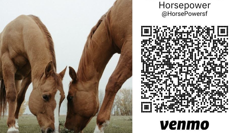 Happy <a href="/GivingTuesday/">#GivingTuesday</a>!
HorsePower now has Venmo, making it easier than ever to support our riders and therapy horses! Donations support scholarships and horse care. Find us on <a href="/Venmo/">Venmo</a> under charities @ HorsePowerSF