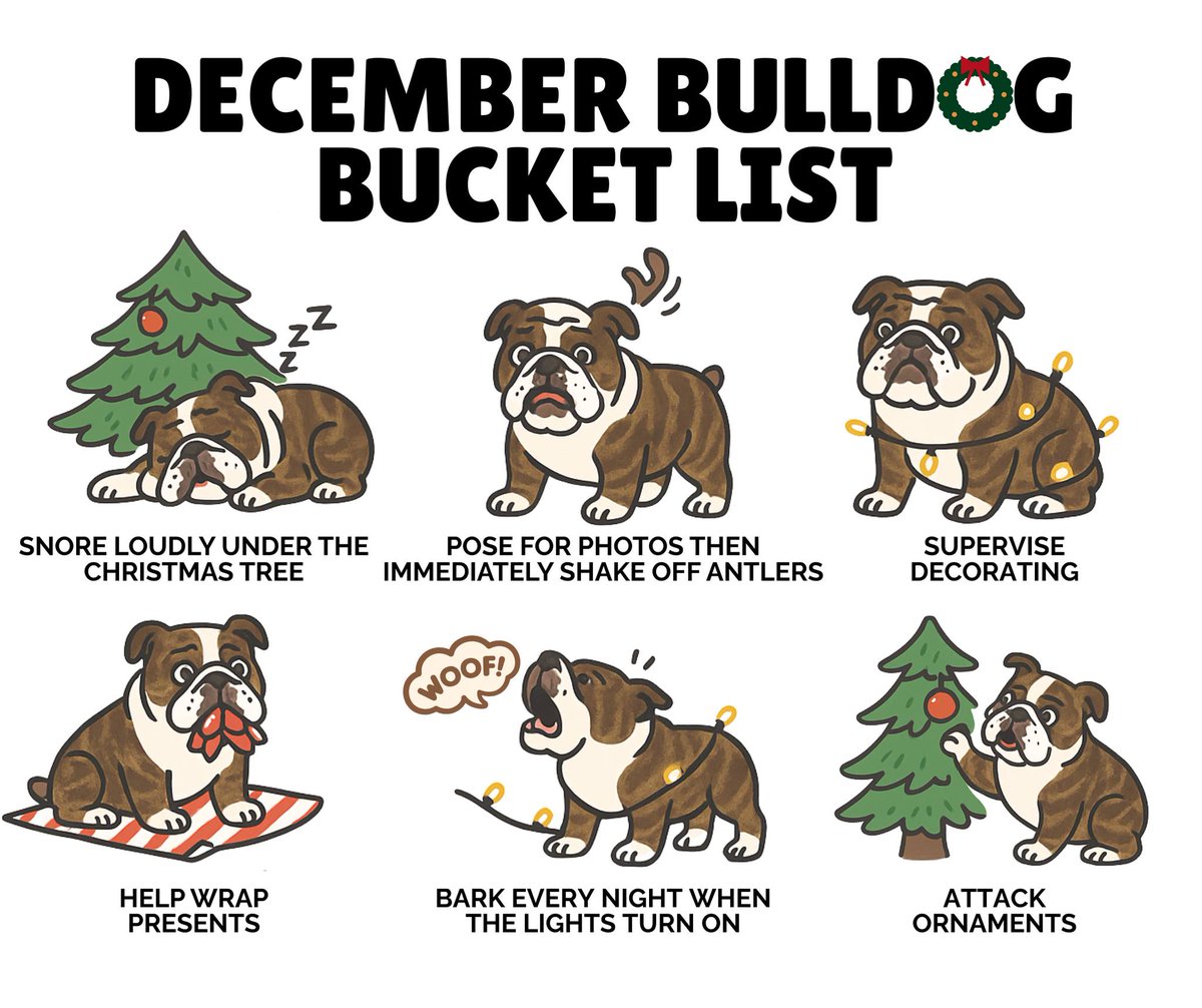 MidAtlanticBDR's tweet image. #December is here! #bulldogs #Christmas