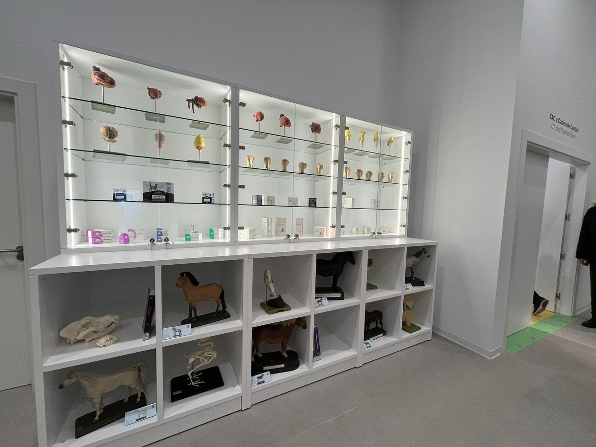 🐾 El presidente de la Comunidad, Fernando López Miras, inaugura el Hospital Veterinario de la Universidad Católica San Antonio de Murcia (<a href="/UCAM/">UCAM Universidad</a>) 

📡 Lo vemos, junto a otros asuntos informativos de la mañana, en NRM 14:30, con <a href="/soniabelmat/">Sonia Belmonte Mateo</a>