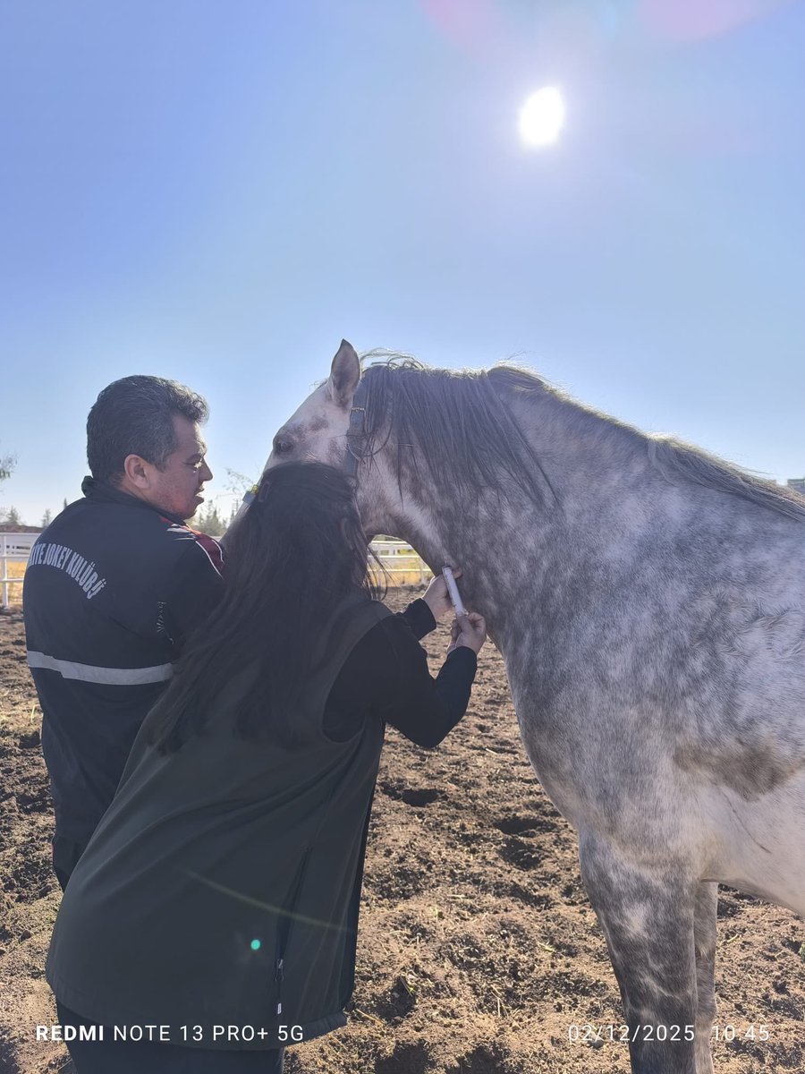 Hara at aşım istasyonu kan alımı çalışması veteriner hekimlerimiz tarafından devam ediyor. <a href="/TCTarim/">T.C. Tarım ve Orman Bakanlığı</a> <a href="/ibrahimyumakli/">İbrahim Yumaklı</a> <a href="/faruk_bozova/">Faruk Çetiner</a> <a href="/haliliyegovtr/">Haliliye Kaymakamlığı</a> <a href="/Sanliurfatarim/">Şanlıurfa İl Tarım ve Orman Müdürlüğü</a>