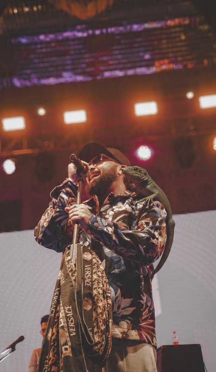 Gecko - Grooves 🫐