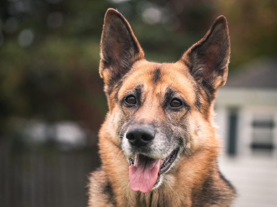 Tazz 🌸 tweet media