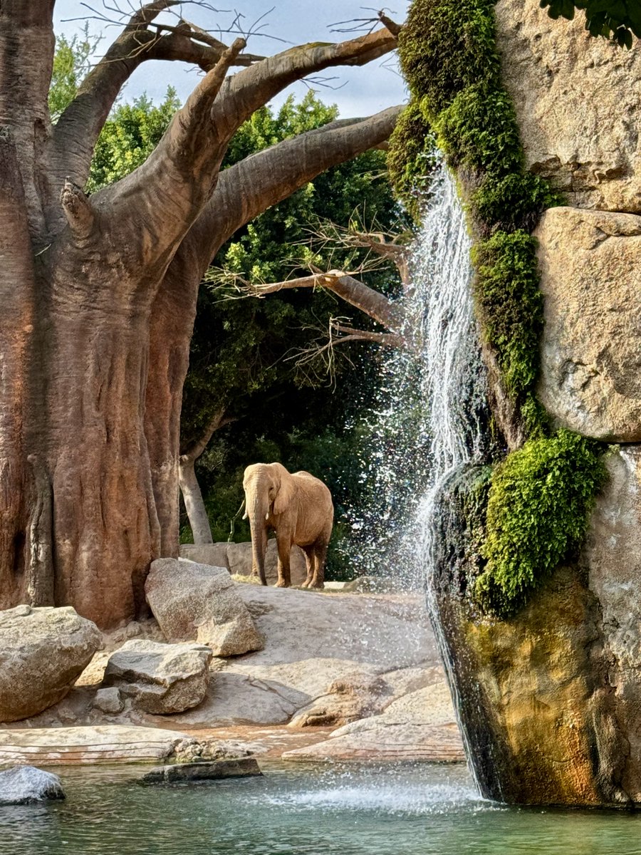 Jakub Tepper 🇯🇵✈️🎮🍙🍛 tweet media