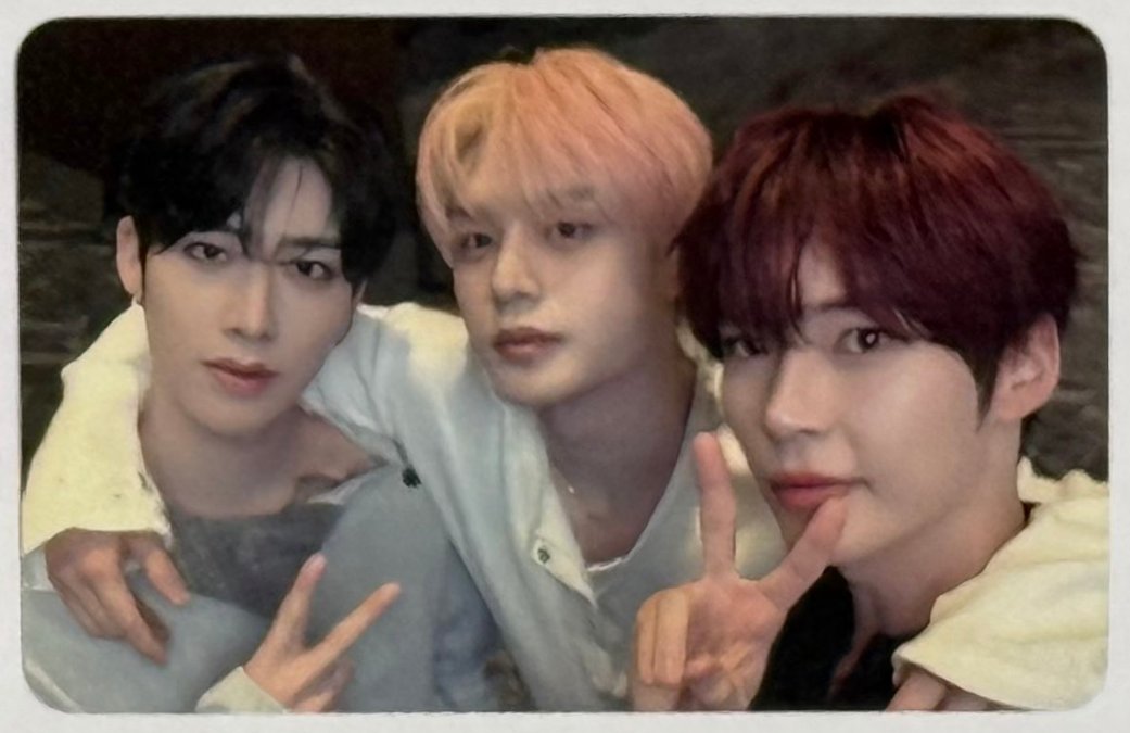 Post by ૮(๑ ᴗ͈ ․̫ ᴗ͈ ๑)ა 🍀 on X: alpacaz