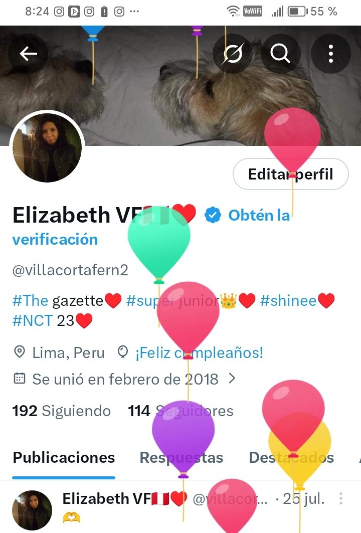 Elizabeth VF🇵🇪♥️ tweet media