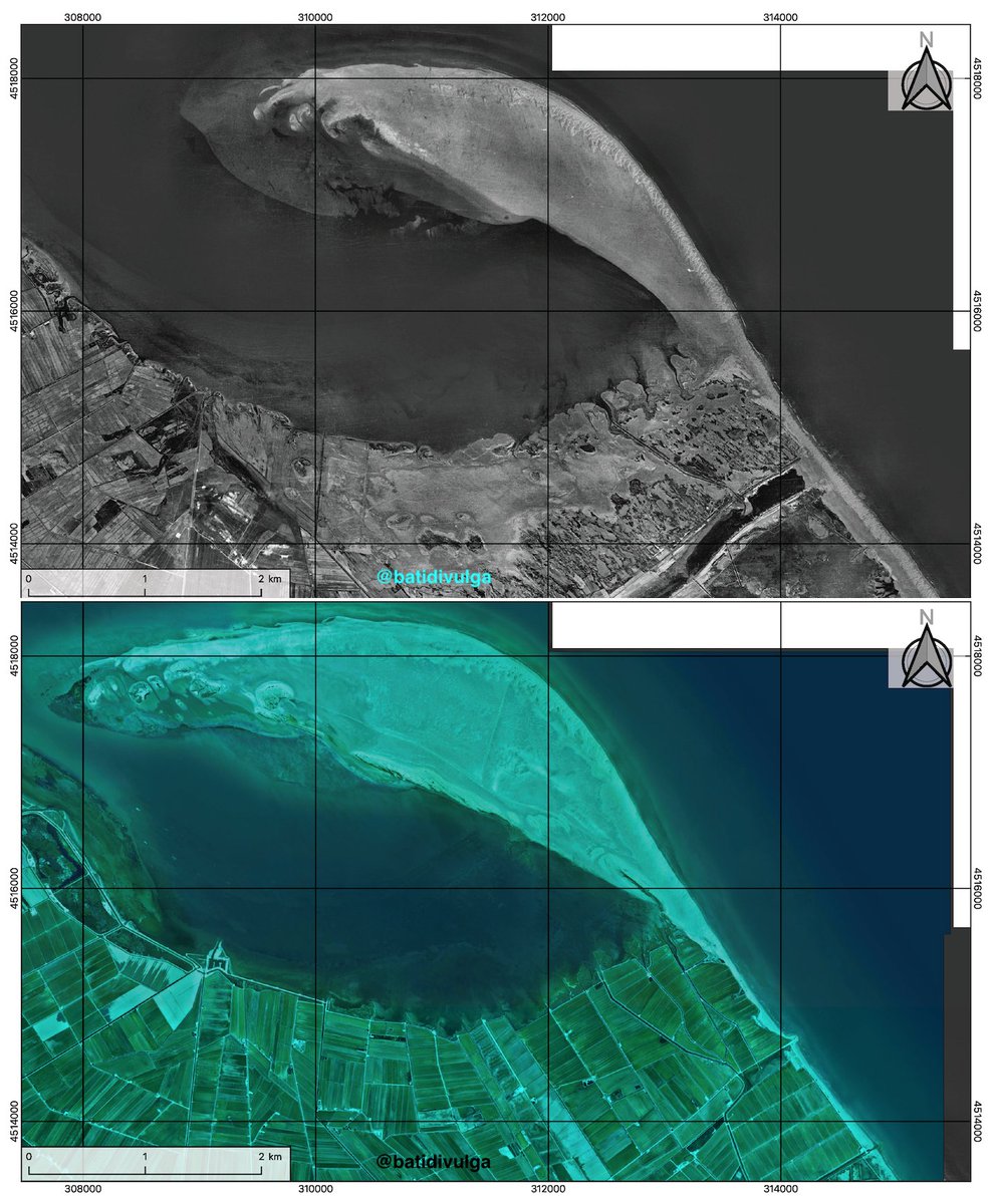 batidivulga's tweet image. El Fangar is the northern spit of the Ebro Delta. We&apos;re working on it there and, with an article in mind, I prepared these prelimary maps showing the awesome evolution of the zone since 1945.

@DeptDto @geologoenapuros @IGME1849 @gemar_ieo @PDE @IGeociencias @mauri_francesc