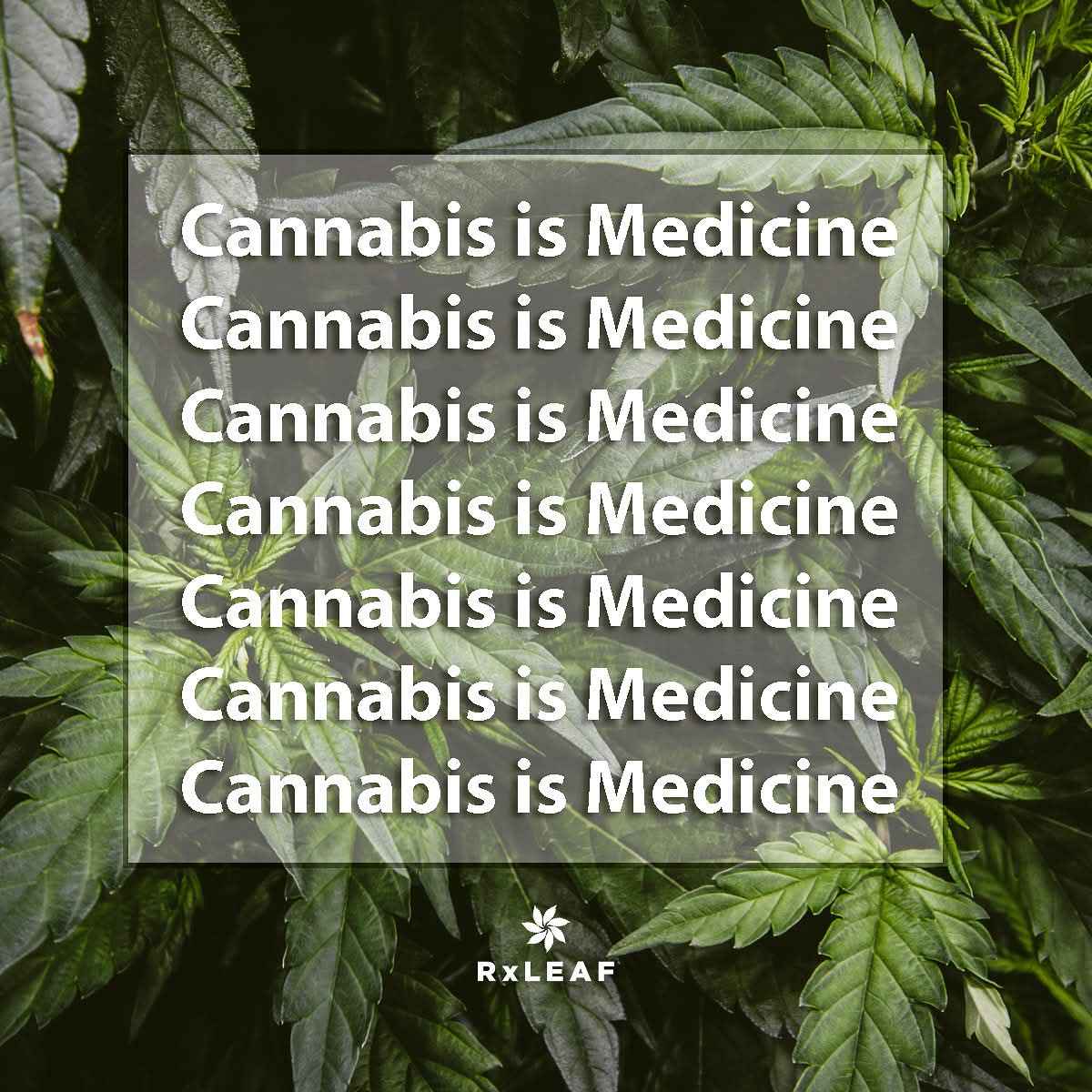 Norstackk's tweet image. :&amp;gt;}_~#WakeNBake #StonerFam #StonerCircle #StonerCircle #IAmCannabis #WeAreCannabis #FuckCancer #StayWoke &amp;amp; ALL #STONERS ~HappyTuesDazed~