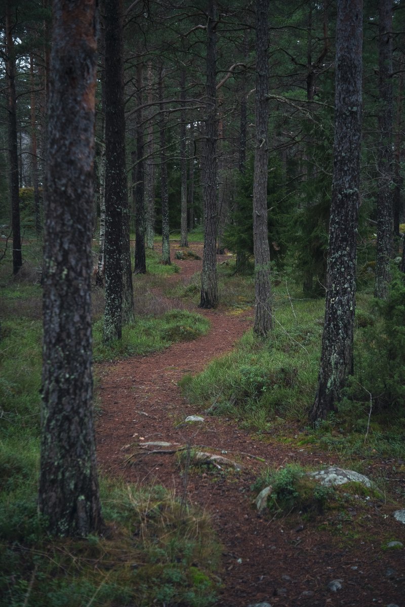 Lutu 💙💛 tweet media